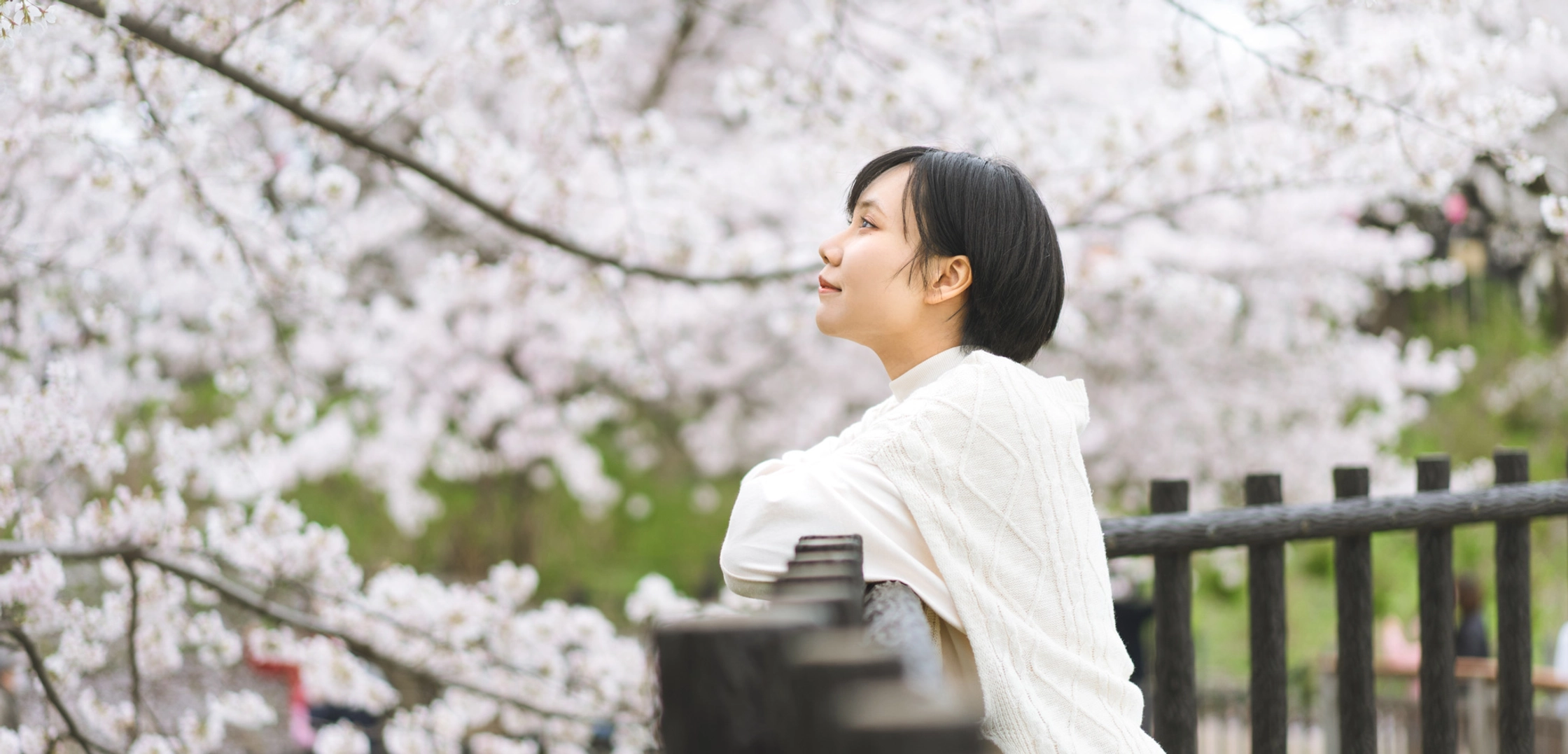 Capture sus recuerdos en Tokio