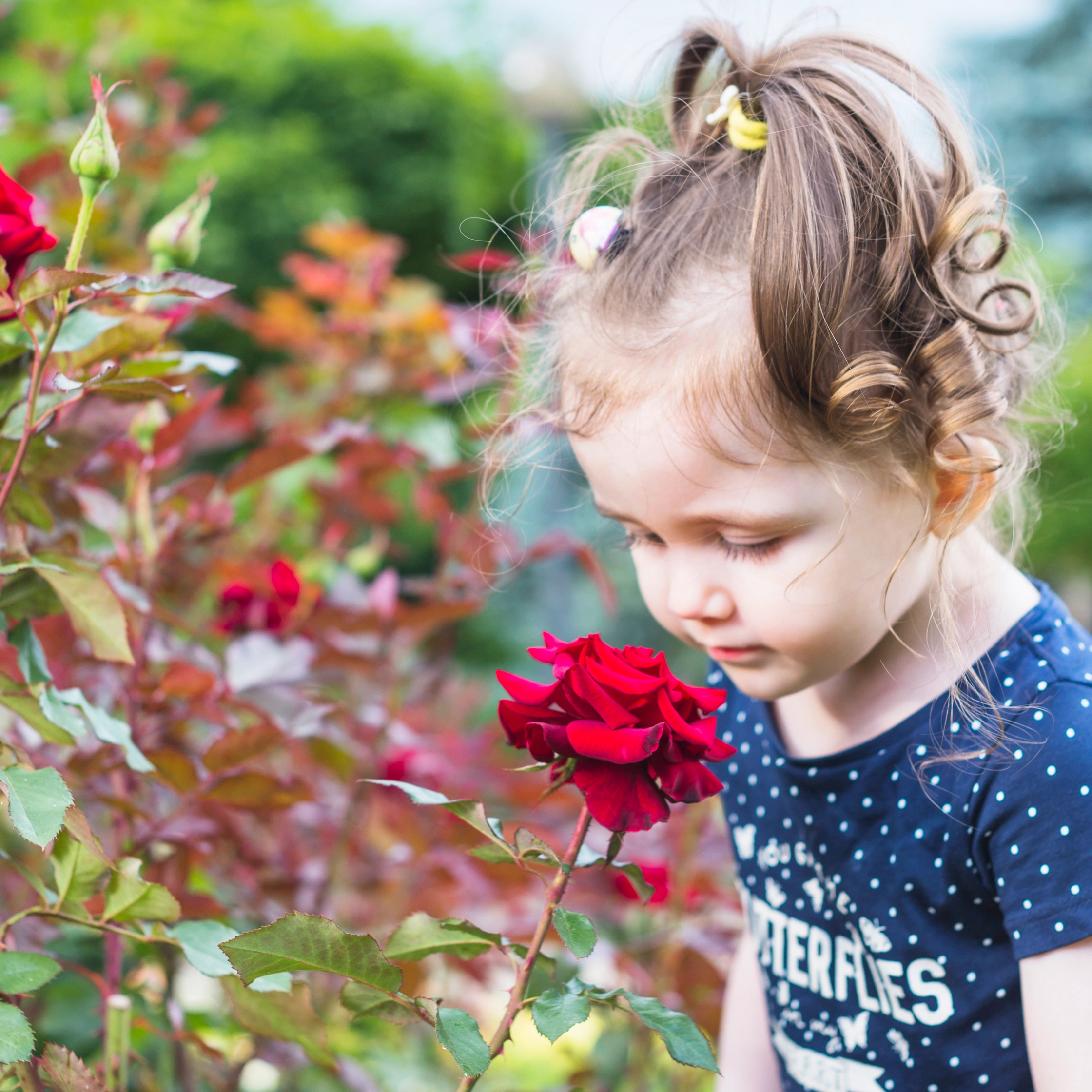 cute-girl-looking-red-rose-garden